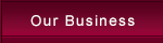 Our Business